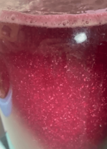 grapeferm (Medium) - Copy