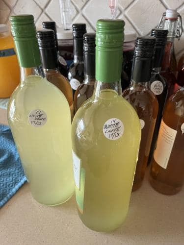#14 White Grape