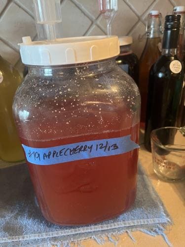 #19 Apple Cherry