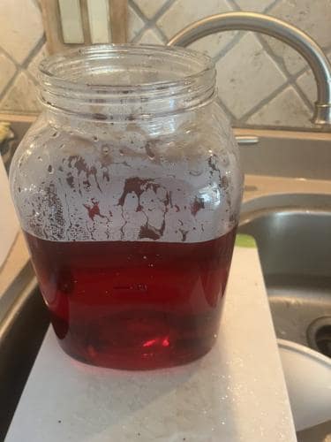 Ix10MG_3165 (Medium)